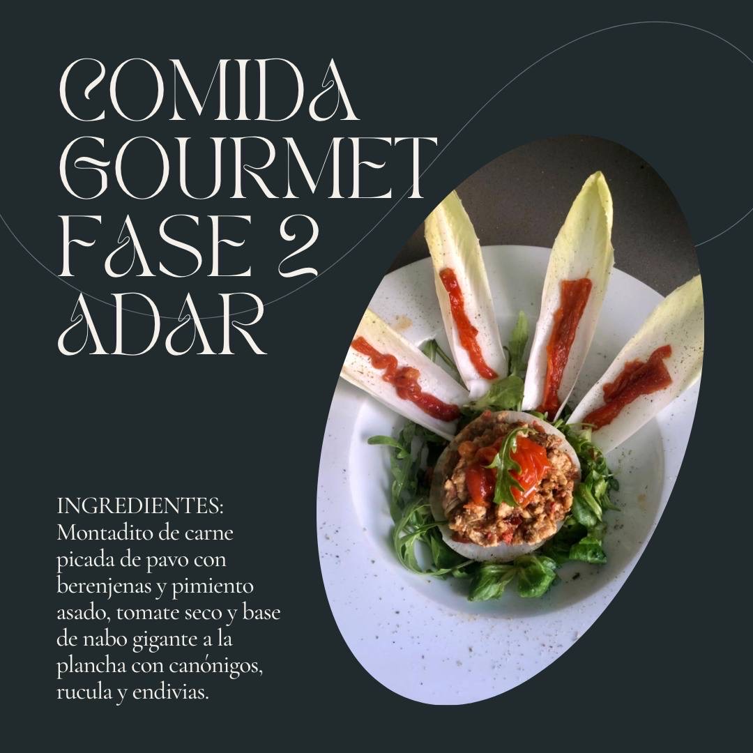 Comida Gourmet